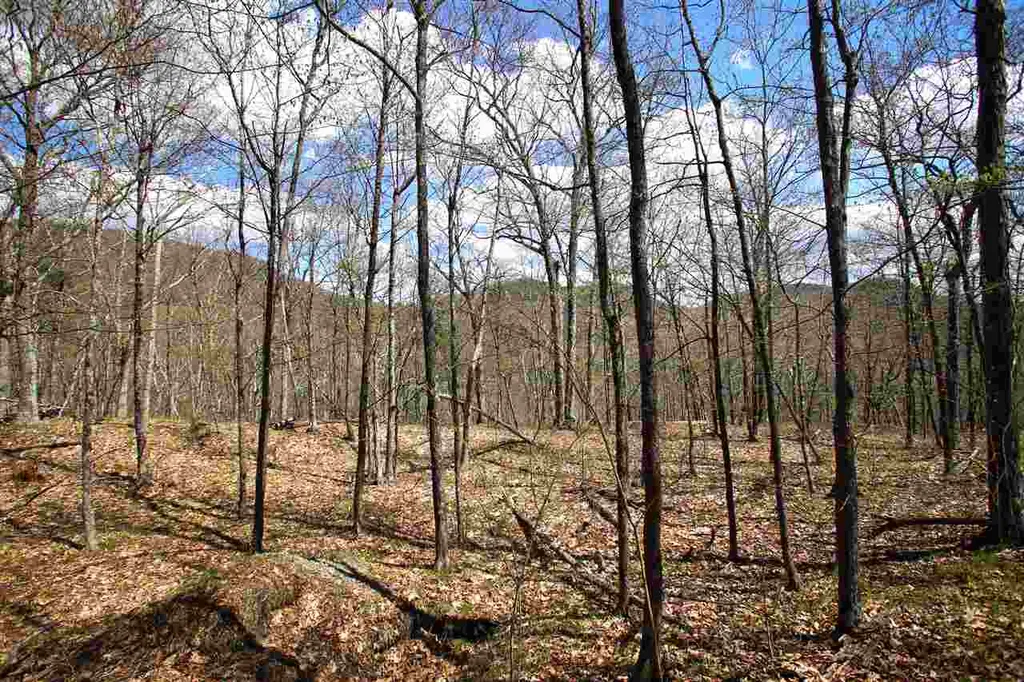 1631 Saw Mill Hill Road Wells VT 05774