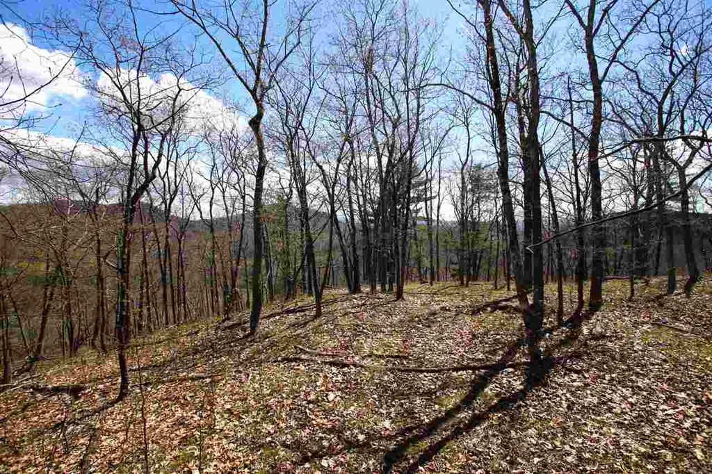 1631 Saw Mill Hill Road Wells VT 05774
