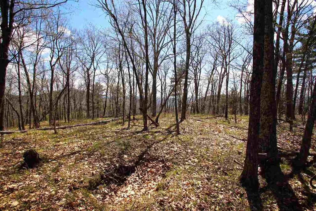 1631 Saw Mill Hill Road Wells VT 05774