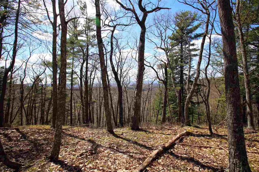 1631 Saw Mill Hill Road Wells VT 05774