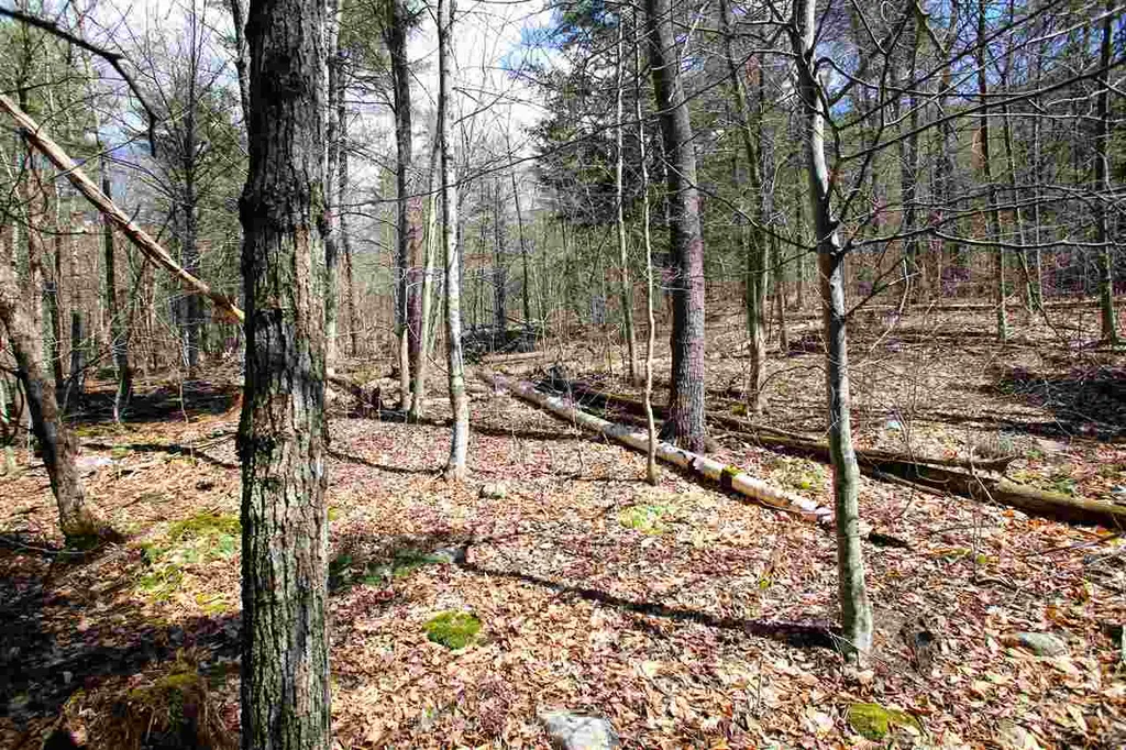 1631 Saw Mill Hill Road Wells VT 05774