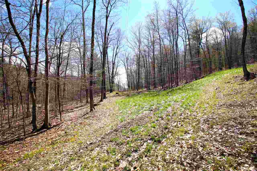 1631 Saw Mill Hill Road Wells VT 05774