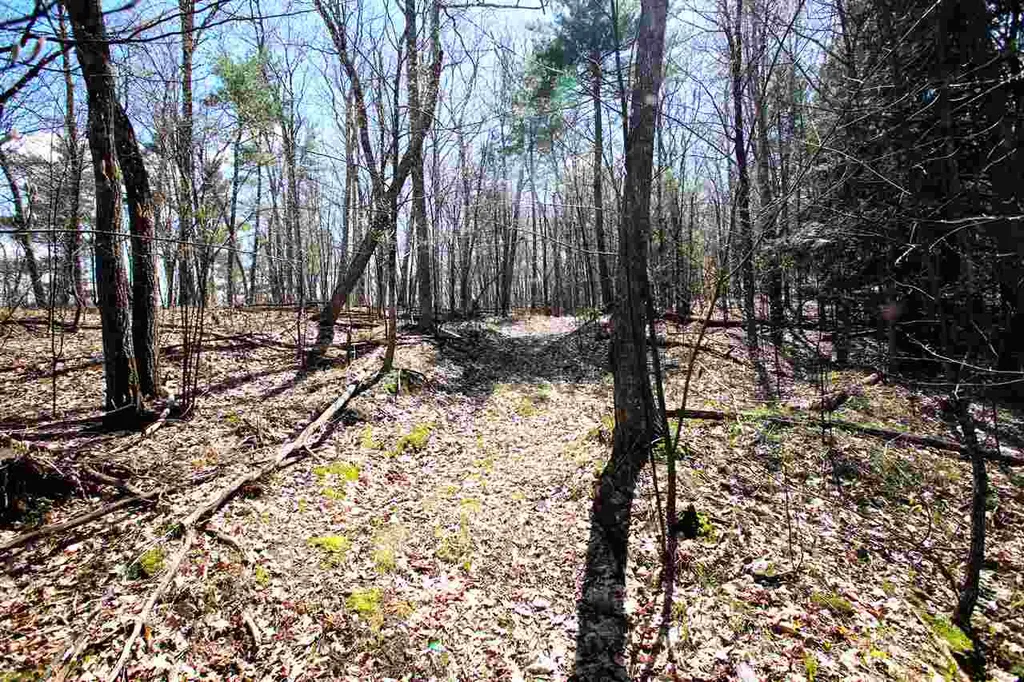 1631 Saw Mill Hill Road Wells VT 05774