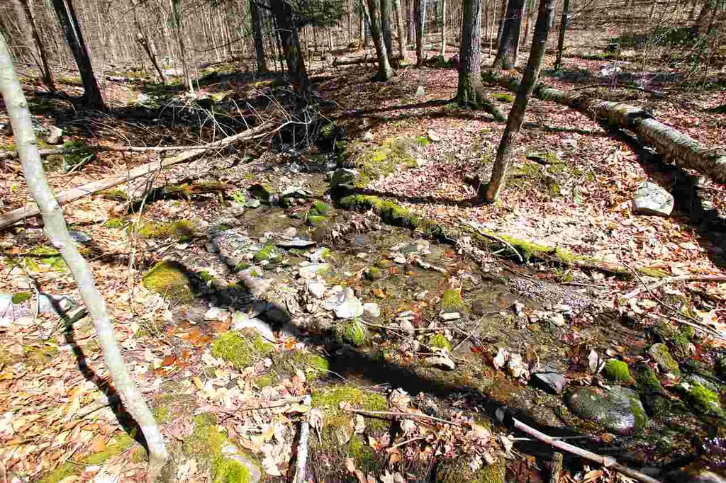 1631 Saw Mill Hill Road Wells VT 05774
