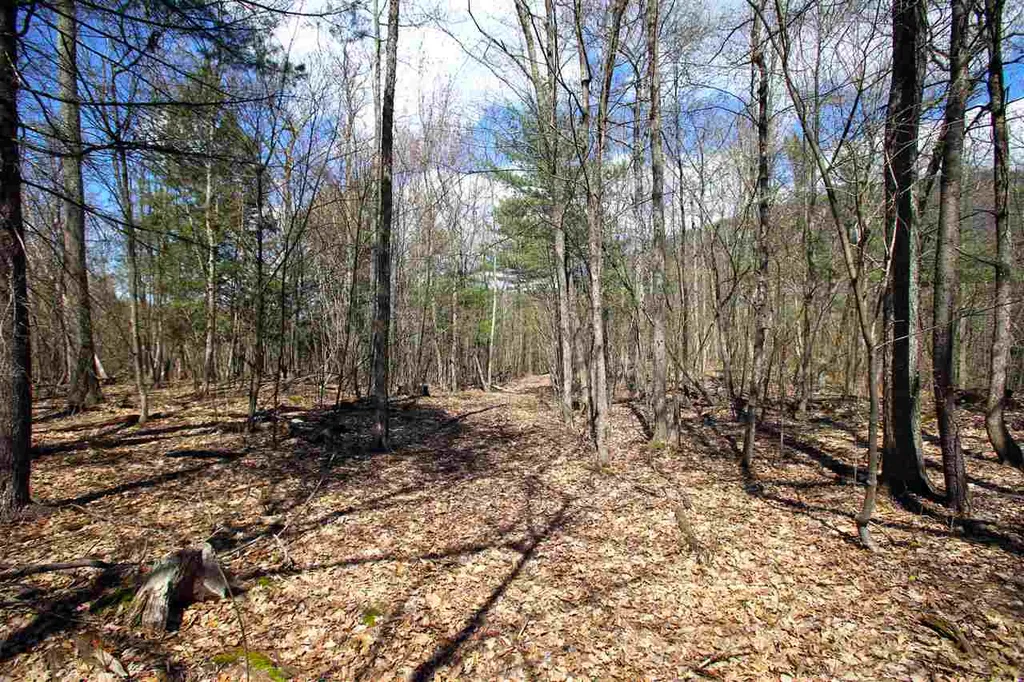 1631 Saw Mill Hill Road Wells VT 05774