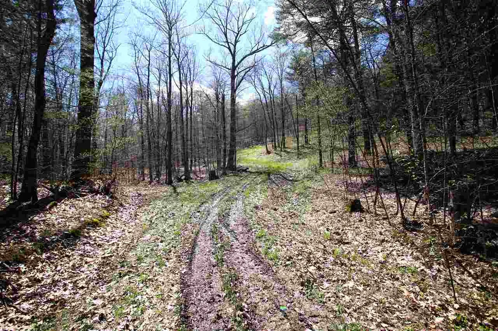 1631 Saw Mill Hill Road Wells VT 05774
