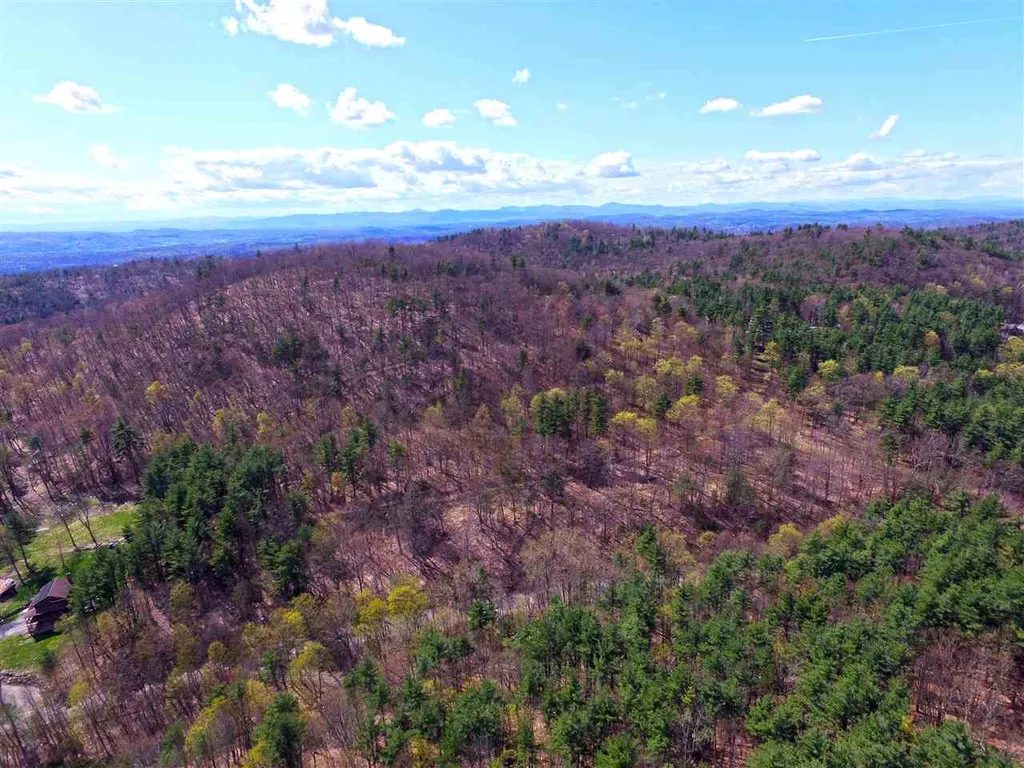 1631 Saw Mill Hill Road Wells VT 05774