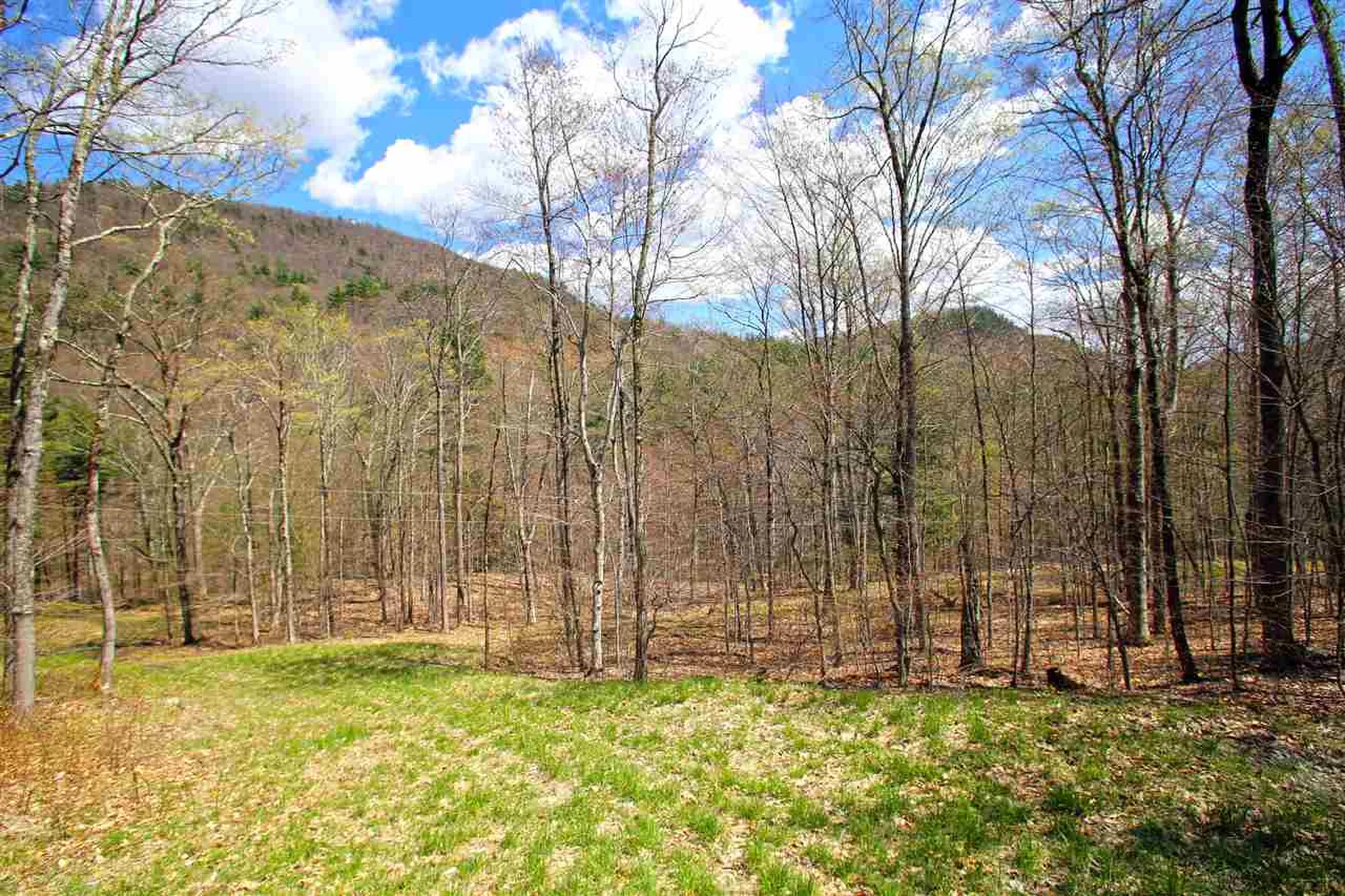 1631 Saw Mill Hill Road Wells VT 05774