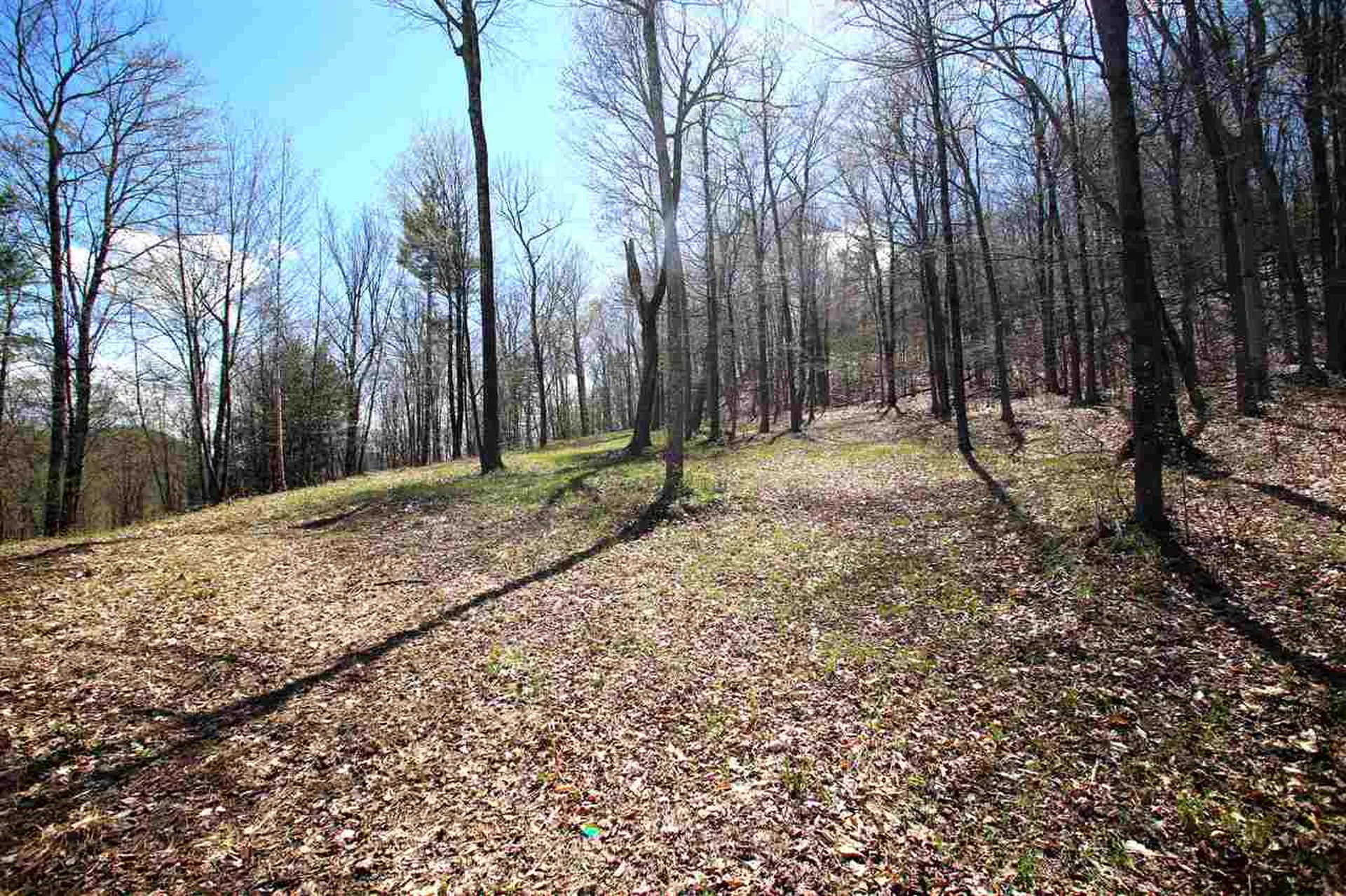 1631 Saw Mill Hill Road Wells VT 05774