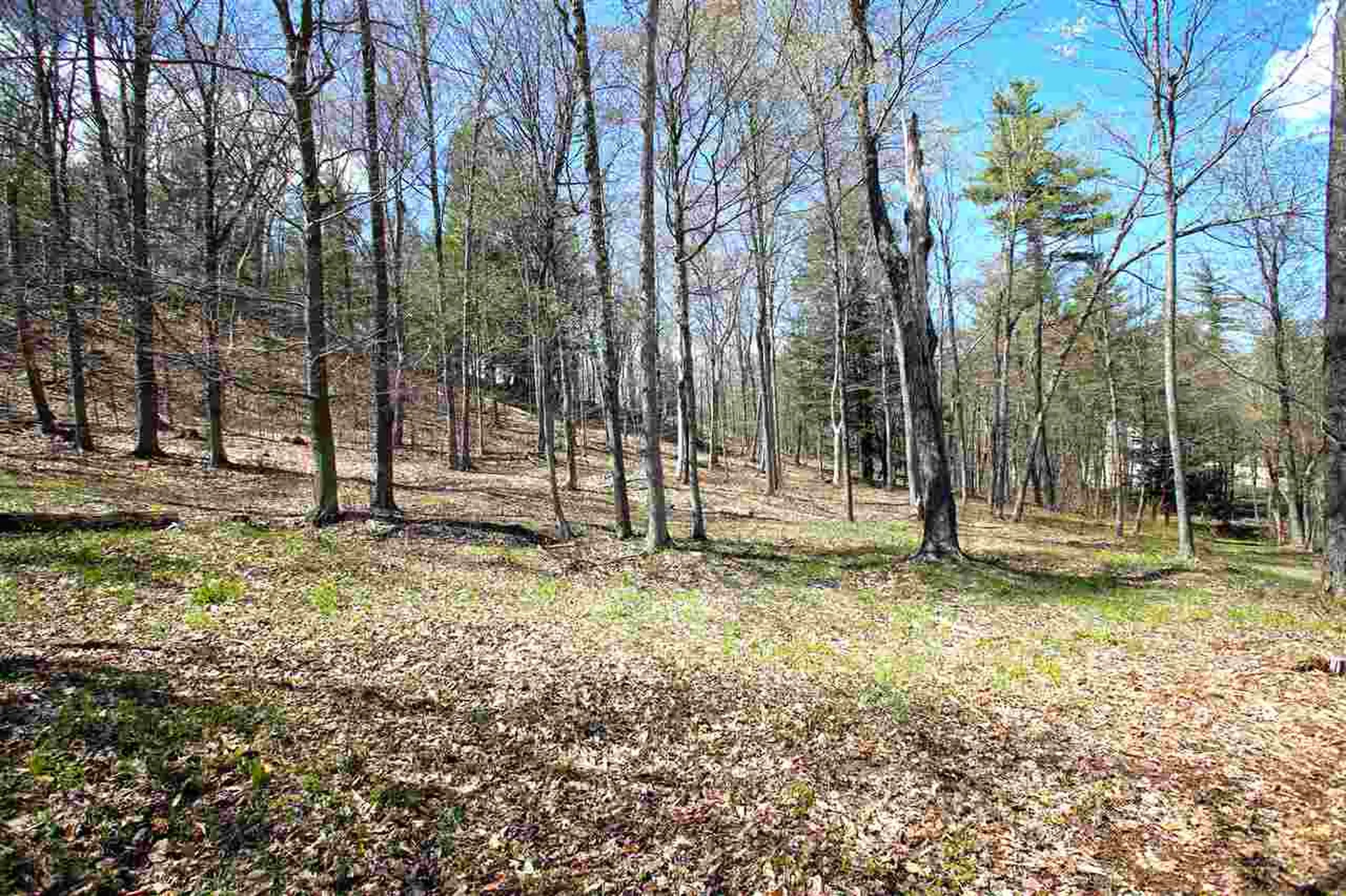 1631 Saw Mill Hill Road Wells VT 05774