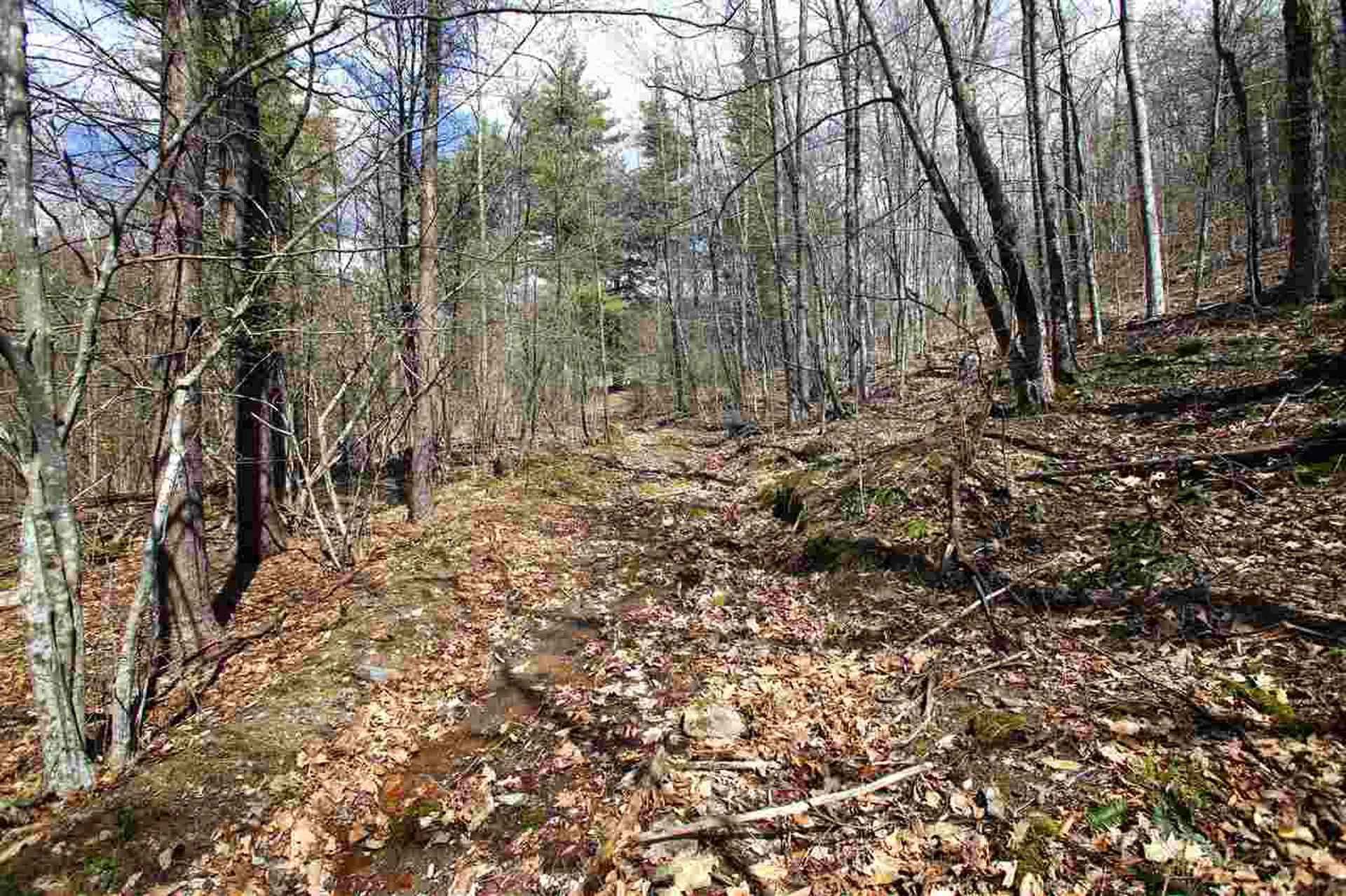 1631 Saw Mill Hill Road Wells VT 05774