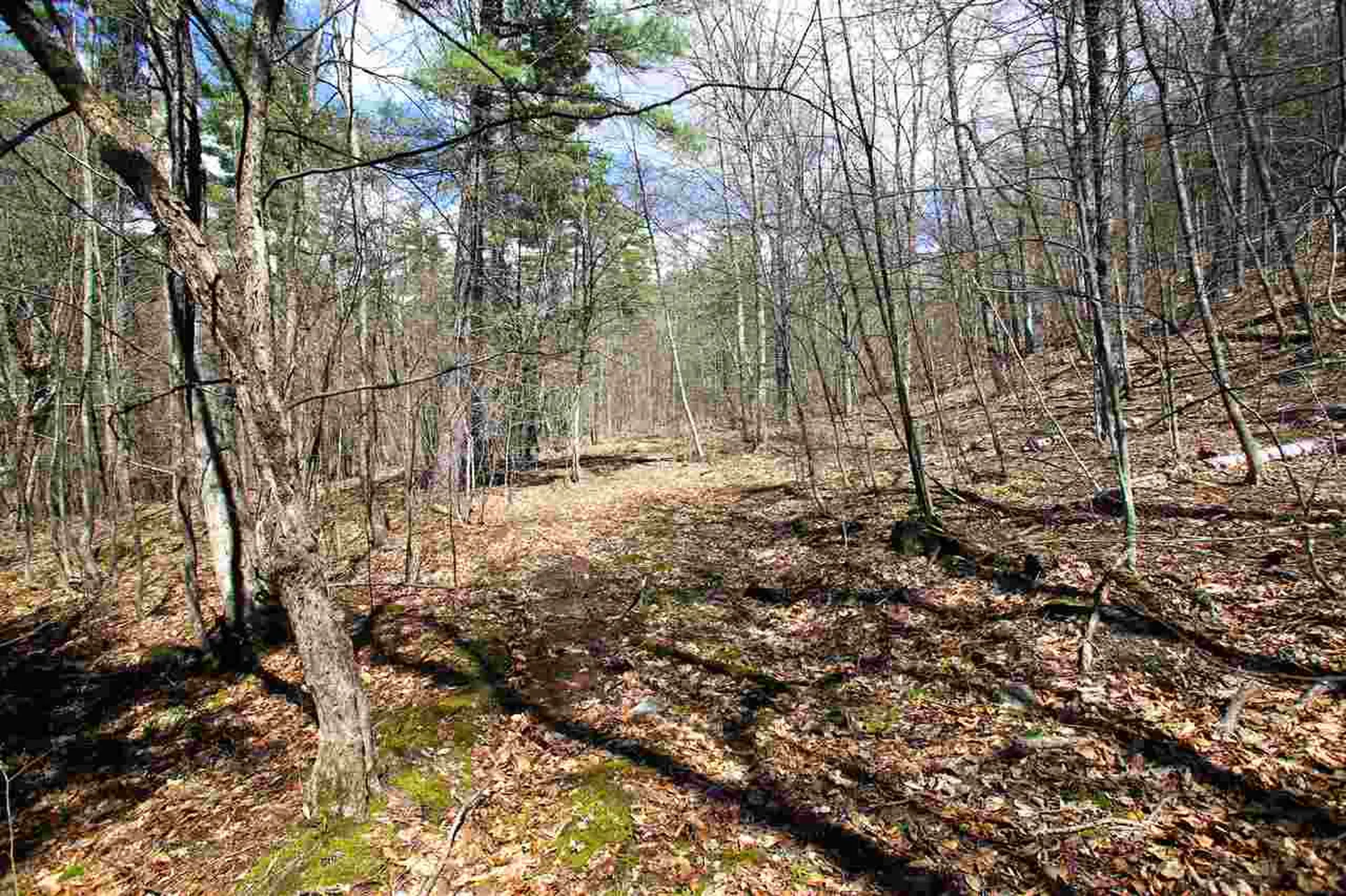 1631 Saw Mill Hill Road Wells VT 05774