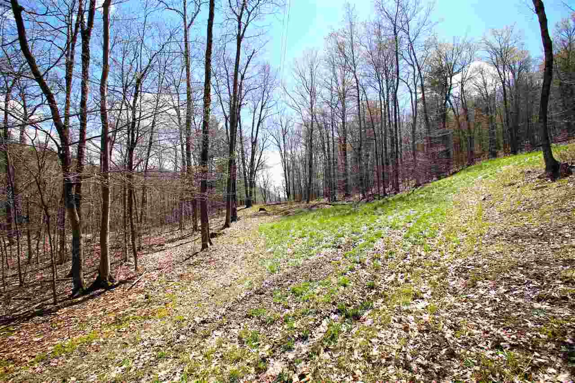1631 Saw Mill Hill Road Wells VT 05774