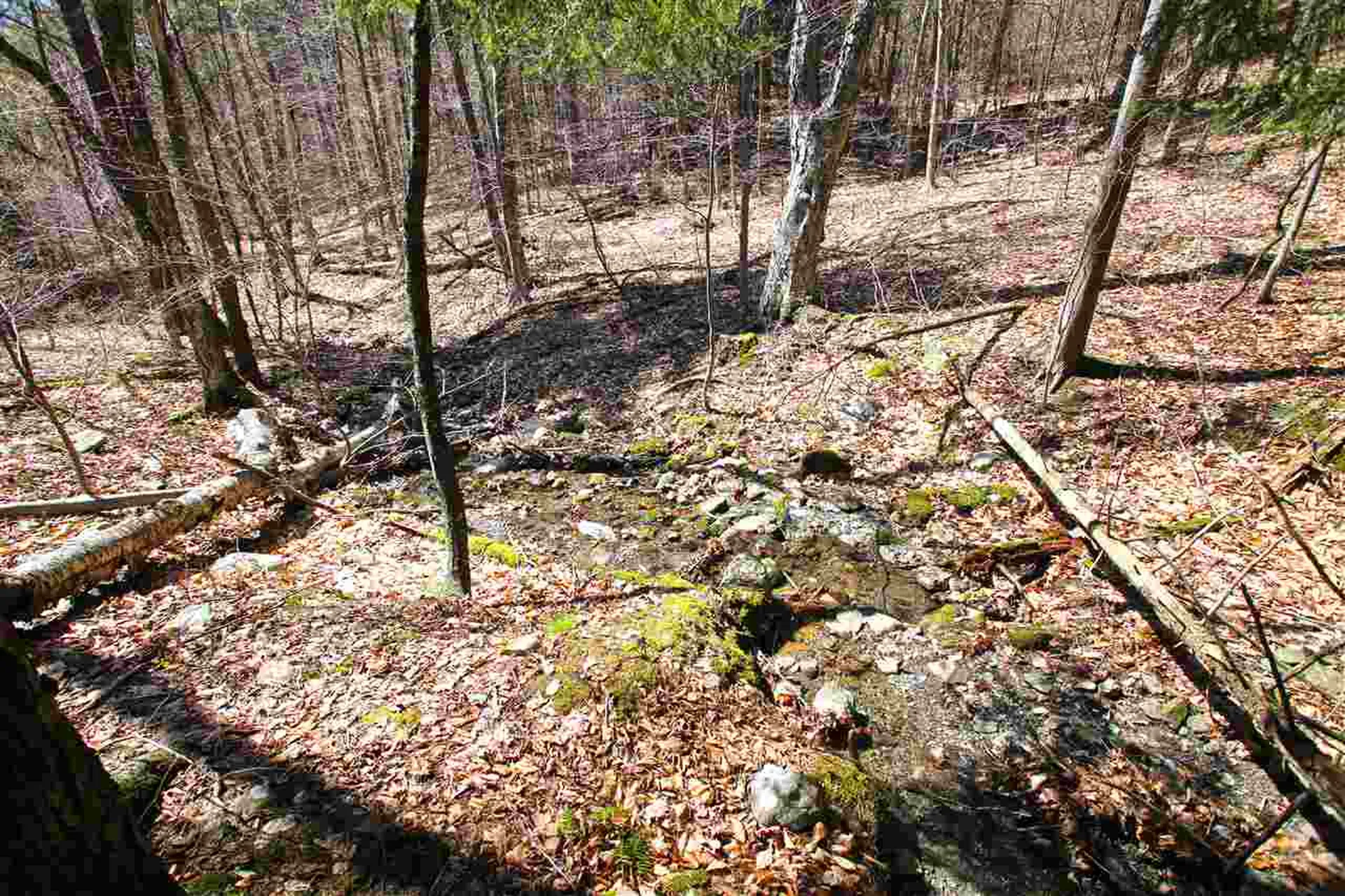 1631 Saw Mill Hill Road Wells VT 05774