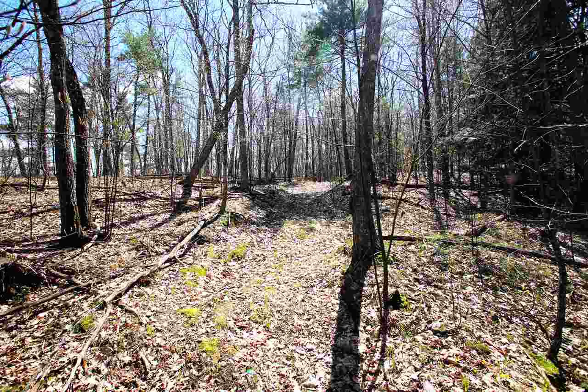1631 Saw Mill Hill Road Wells VT 05774