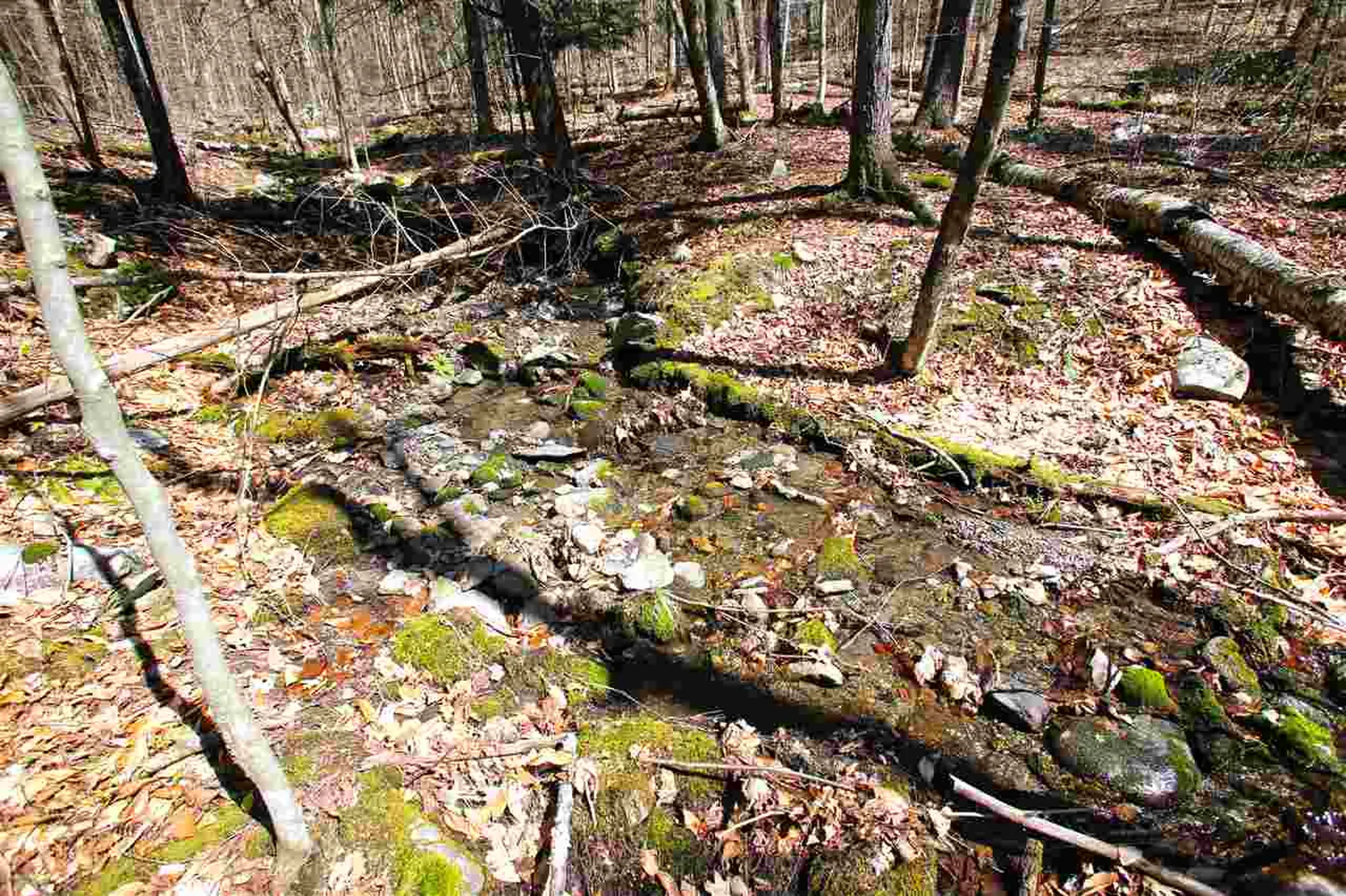 1631 Saw Mill Hill Road Wells VT 05774