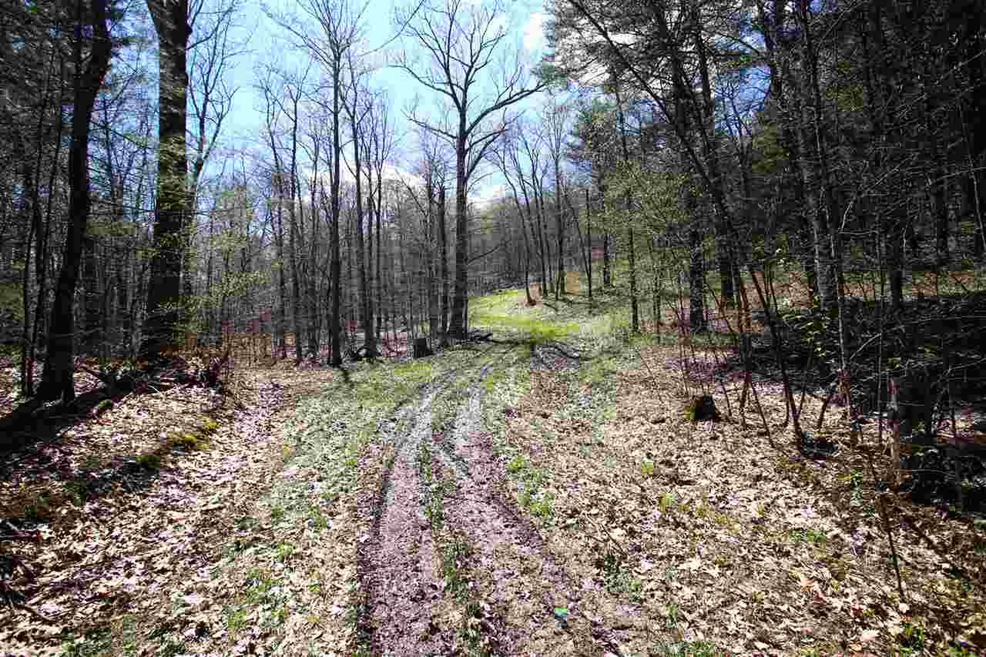 1631 Saw Mill Hill Road Wells VT 05774