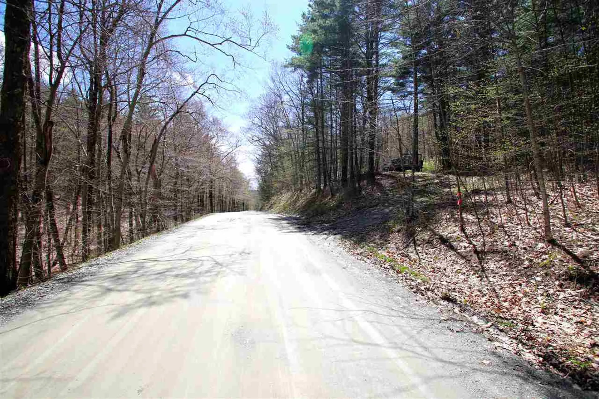 1631 Saw Mill Hill Road Wells VT 05774