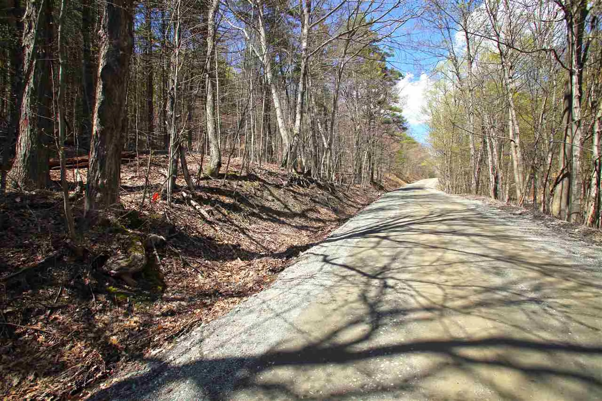 1631 Saw Mill Hill Road Wells VT 05774