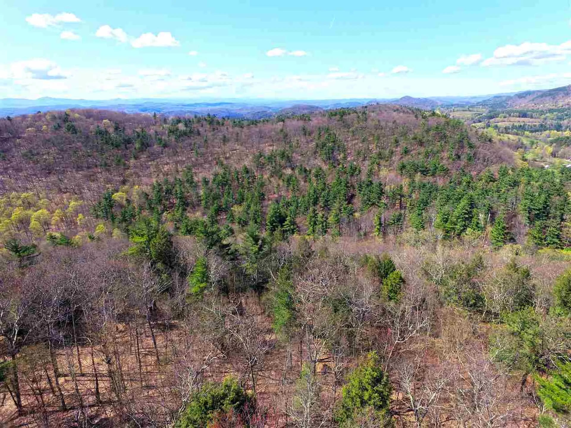 1631 Saw Mill Hill Road Wells VT 05774