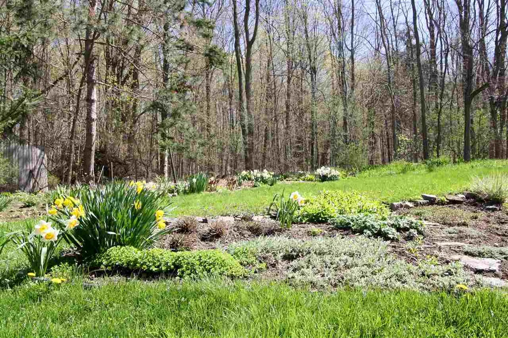 1560 James Road Weybridge VT 05753