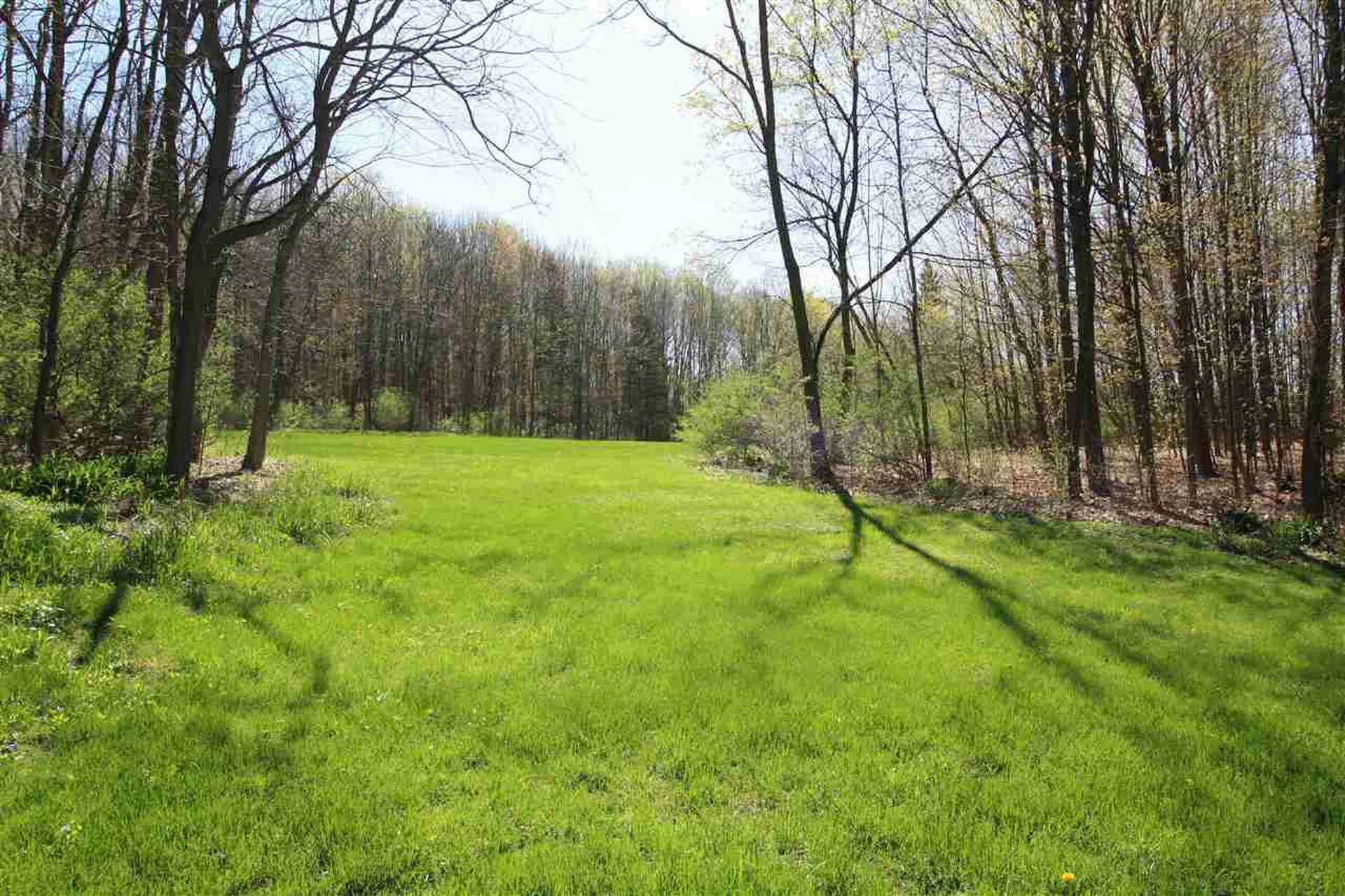 1560 James Road Weybridge VT 05753