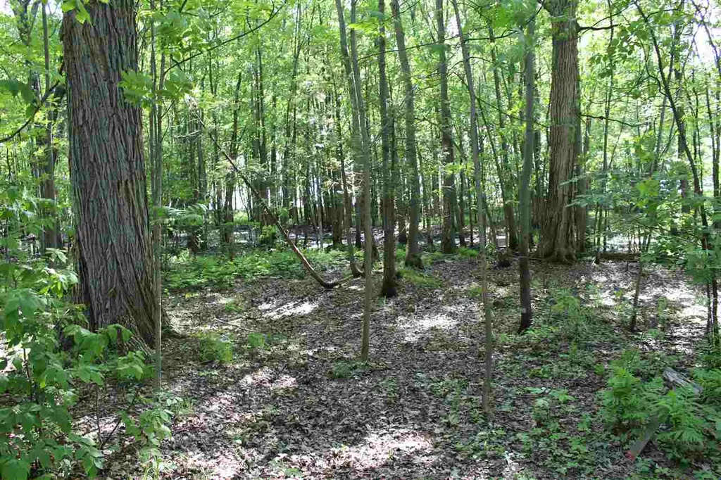 2510 Lakeview Drive North Hero VT 05474