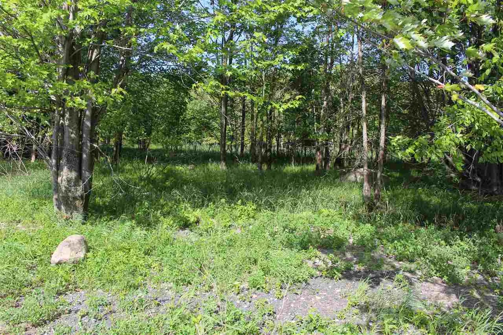 2510 Lakeview Drive North Hero VT 05474