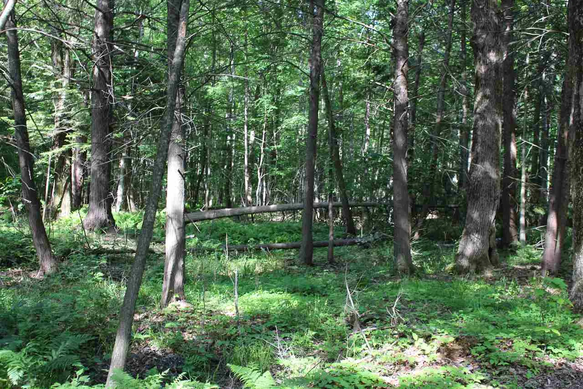2510 Lakeview Drive North Hero VT 05474