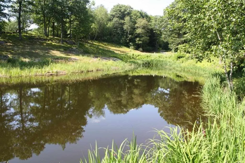 398 Scofield Mountain Road Winchester NH 03470