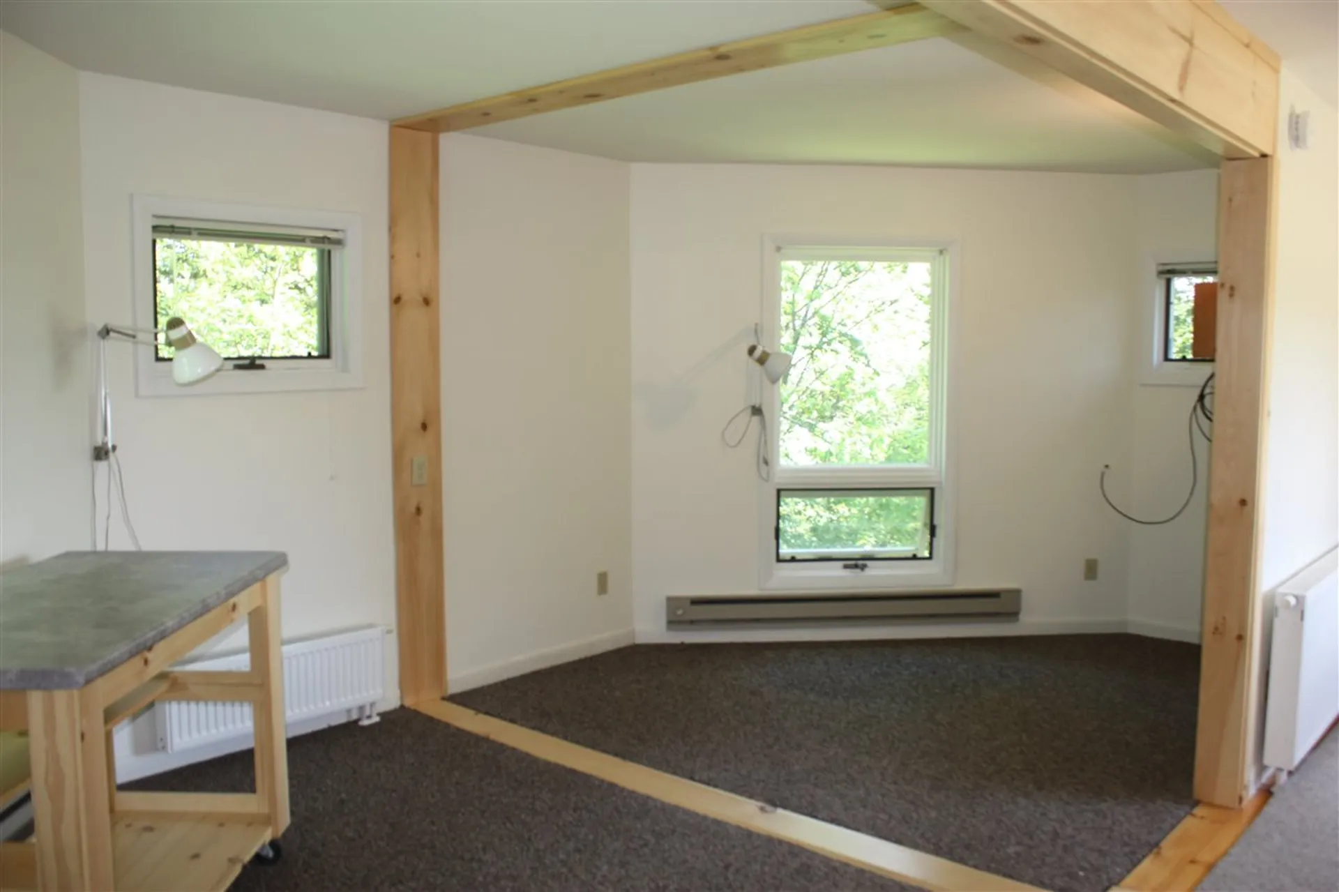 188 White Hill Loop Morgan VT 05853