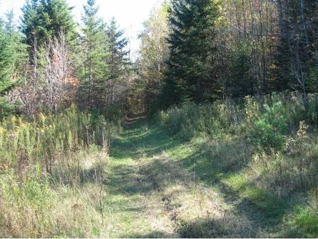00 Fish Pond Road Orange VT 05086