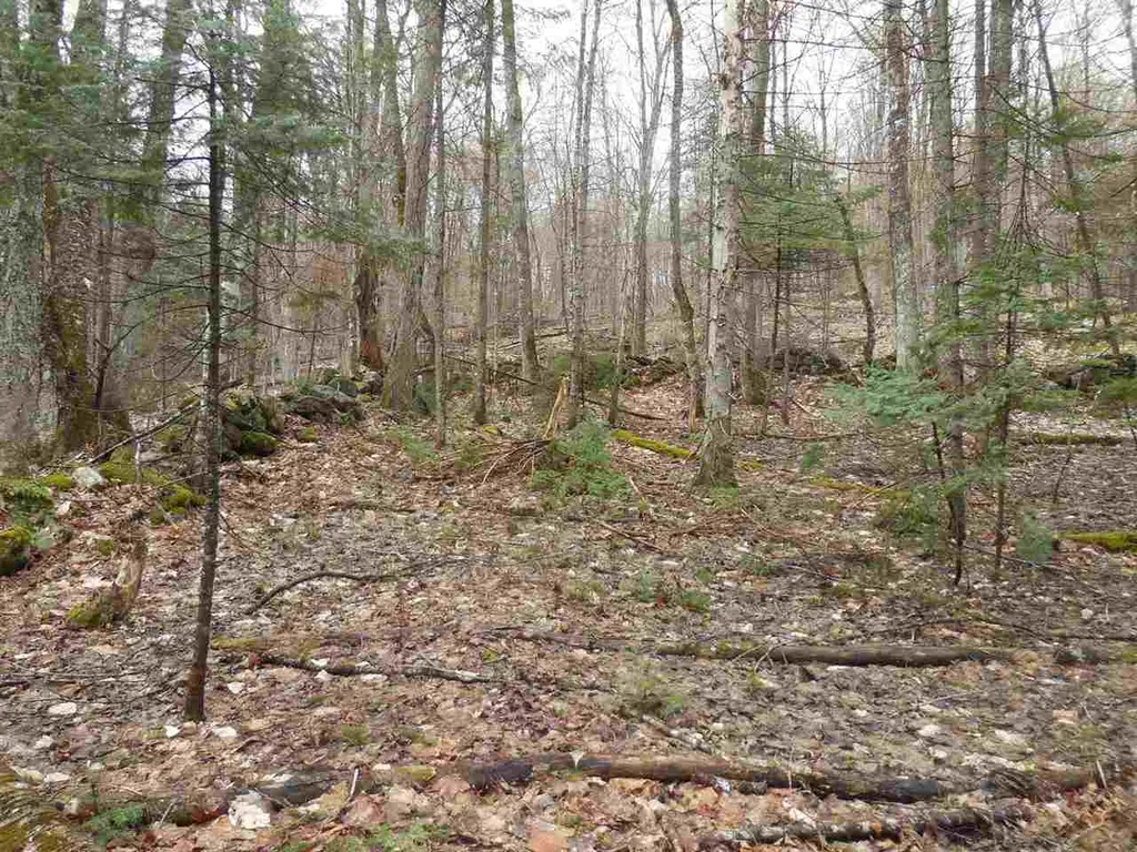 00 Fish Pond Road Orange VT 05086