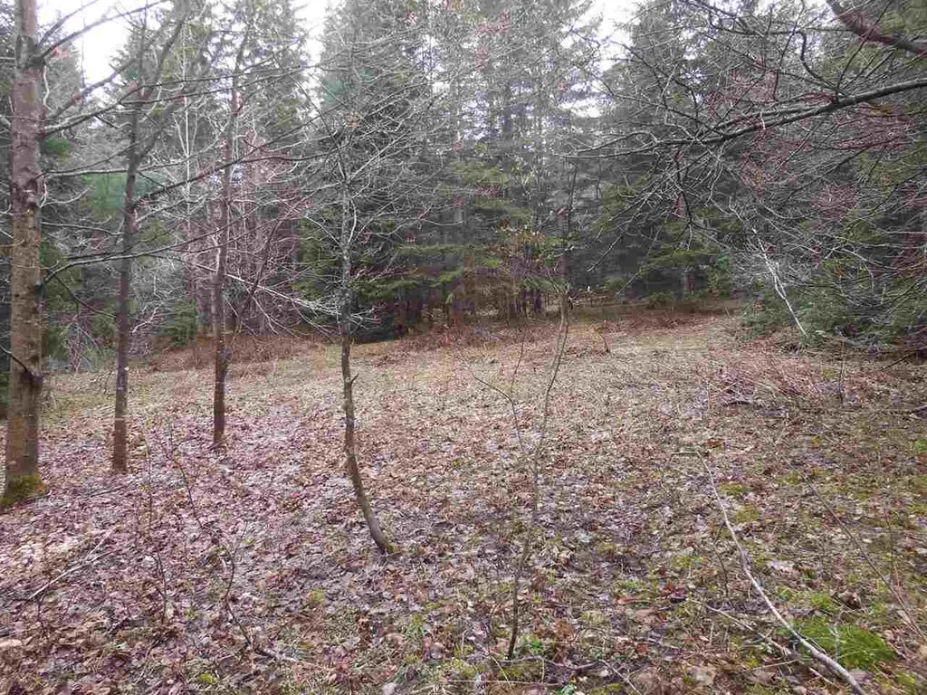 00 Fish Pond Road Orange VT 05086