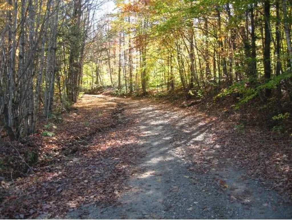 00 Fish Pond Road Orange VT 05086