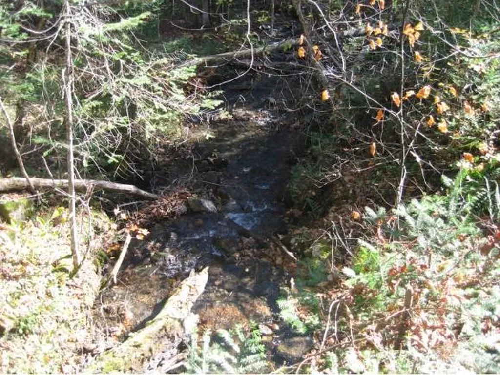 00 Fish Pond Road Orange VT 05086