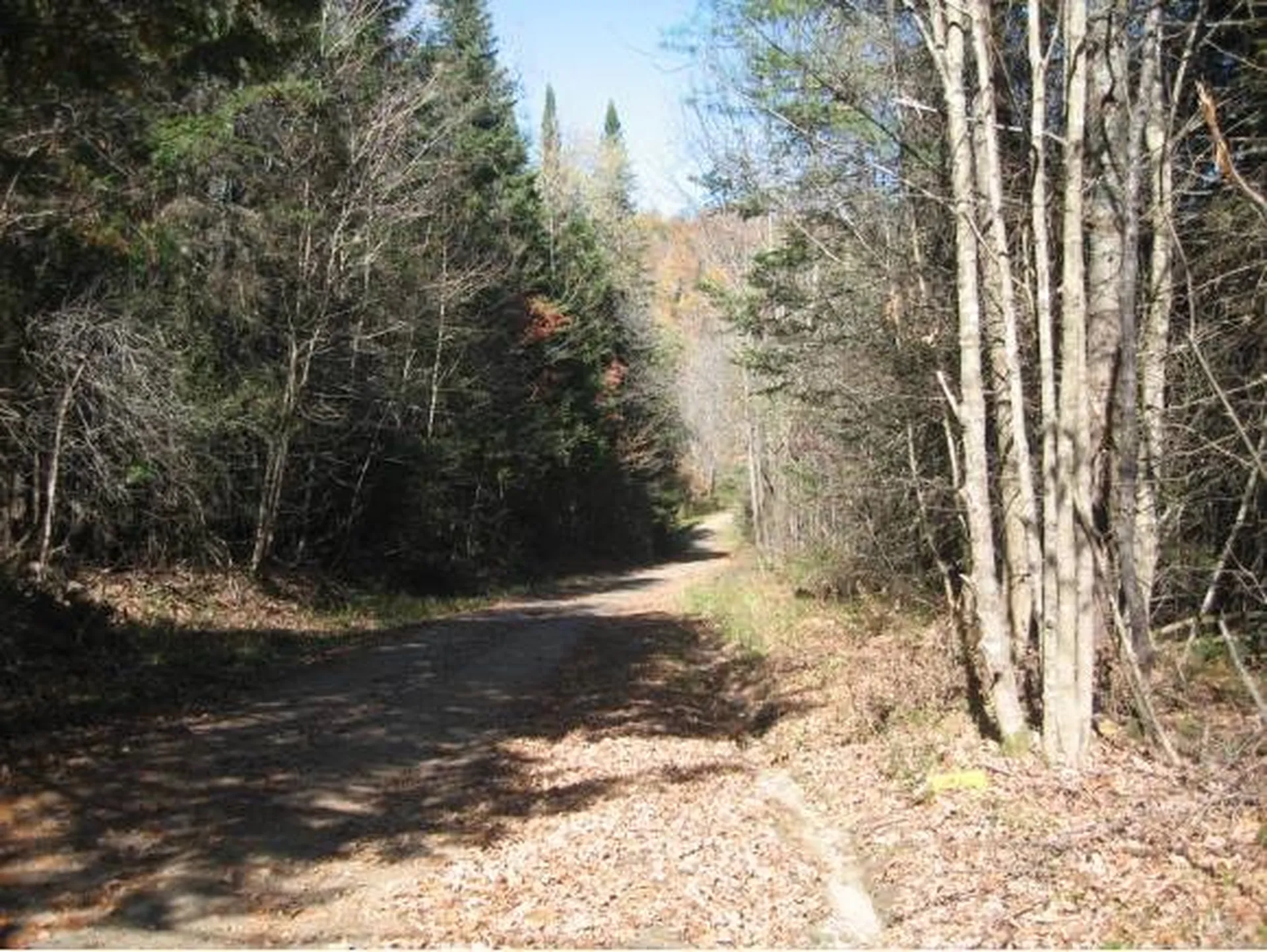 00 Fish Pond Road Orange VT 05086