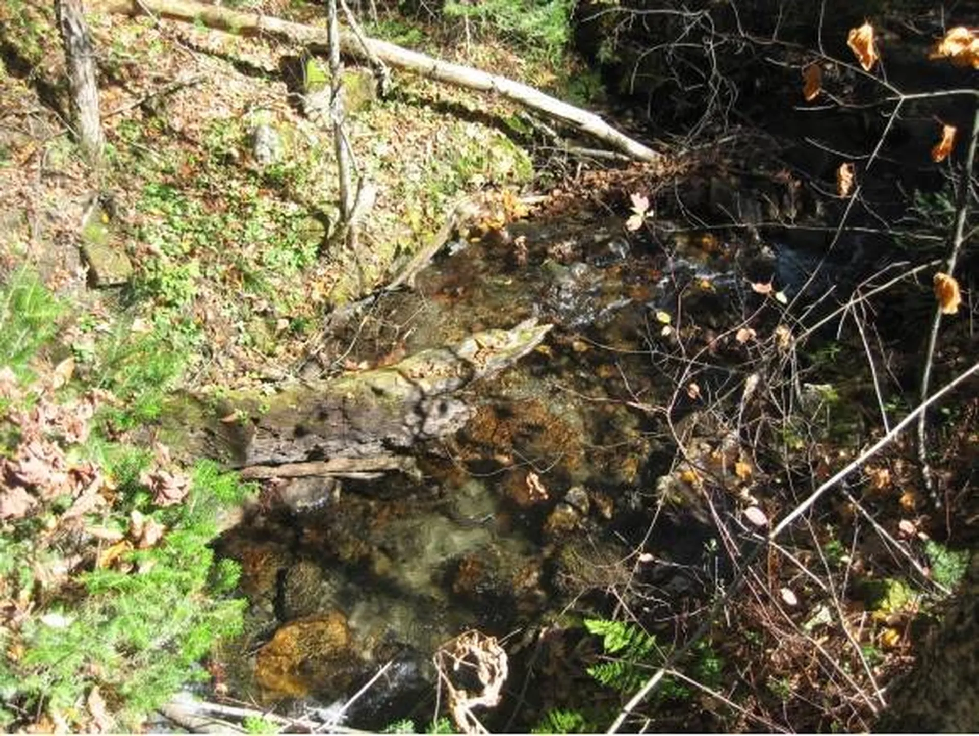 00 Fish Pond Road Orange VT 05086