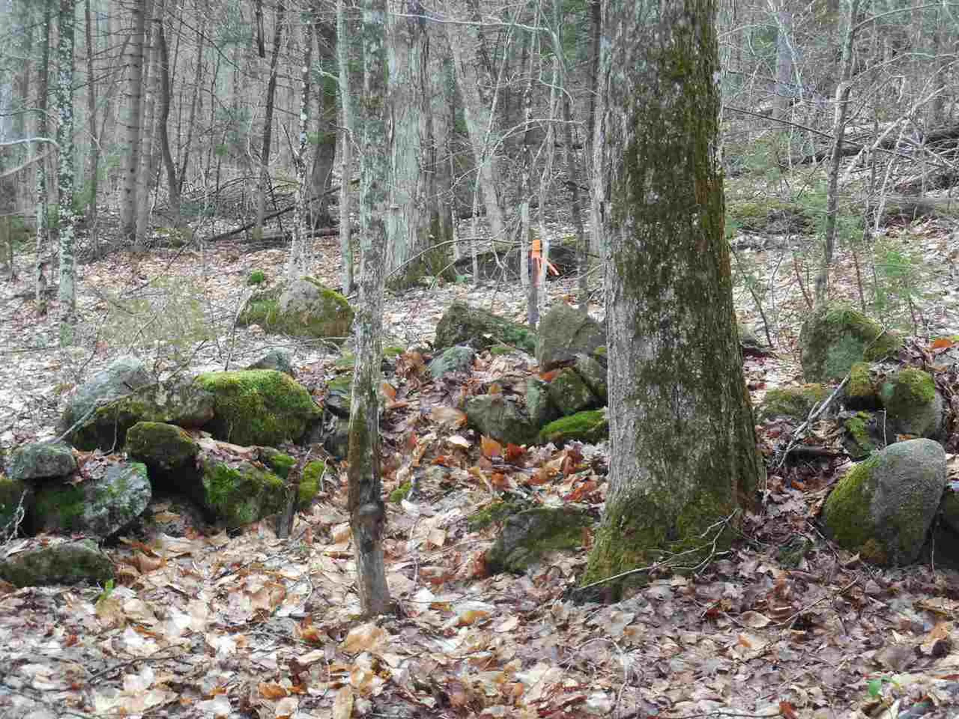 00 Fish Pond Road Orange VT 05086