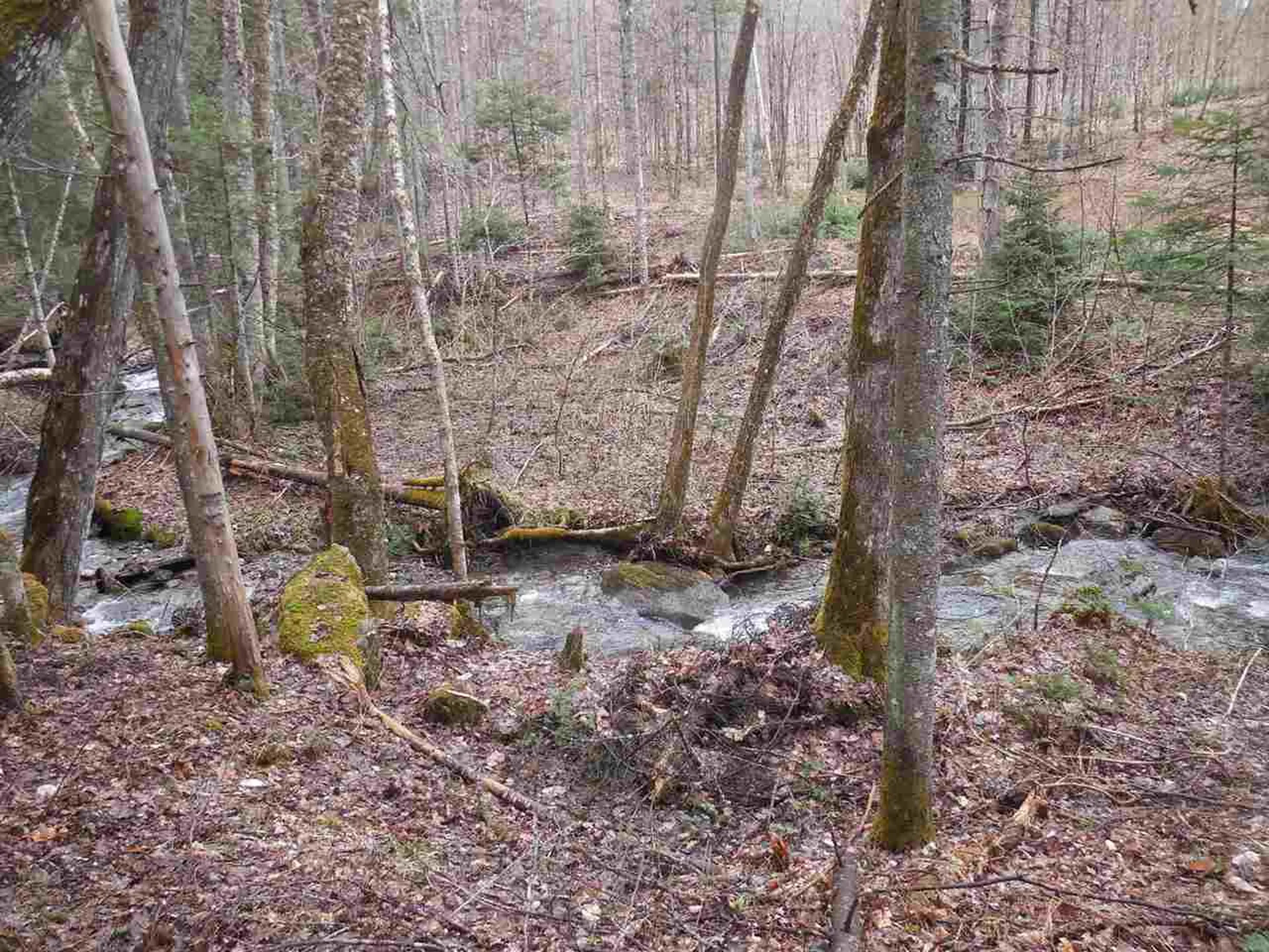 00 Fish Pond Road Orange VT 05086
