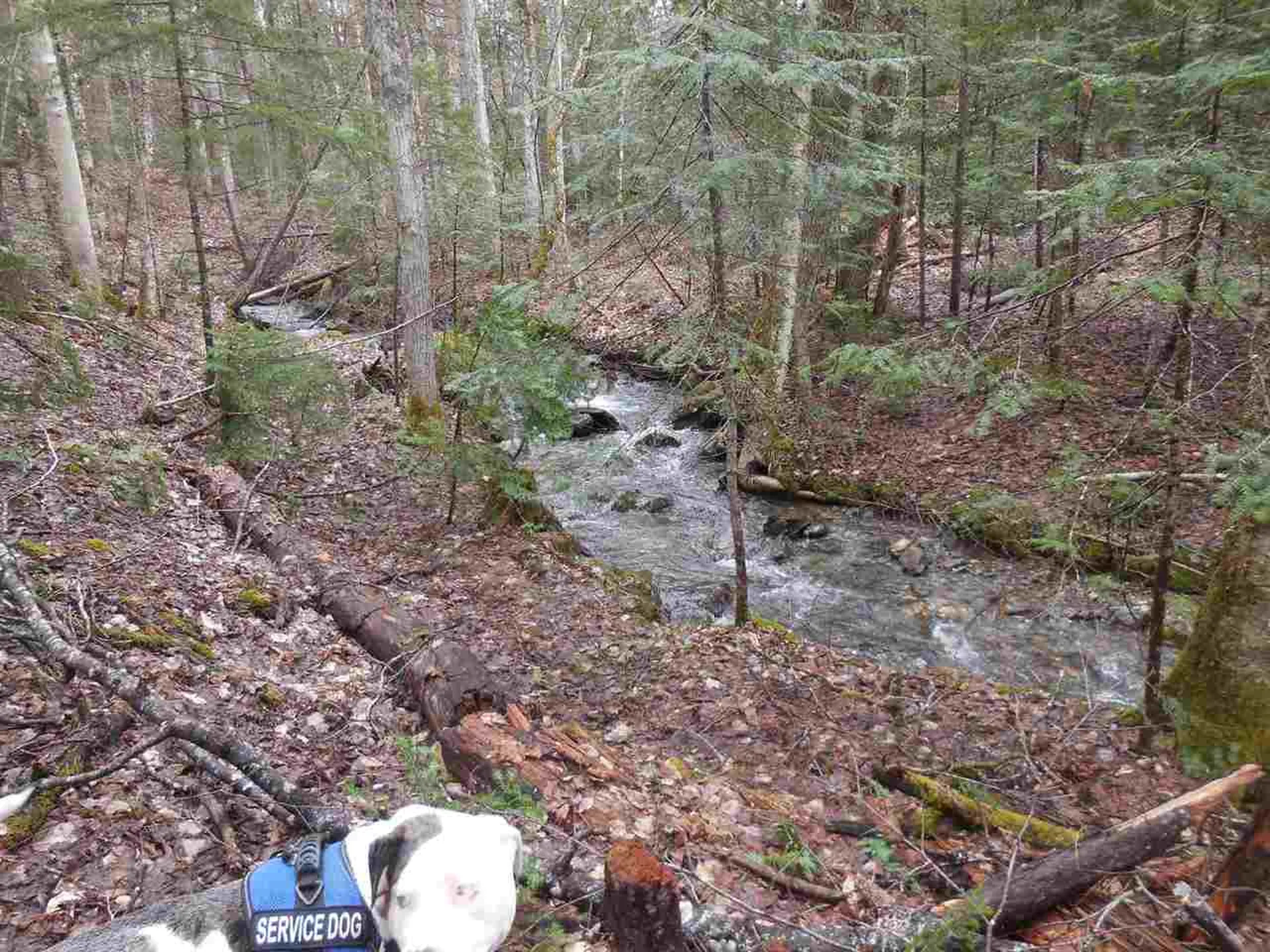 00 Fish Pond Road Orange VT 05086