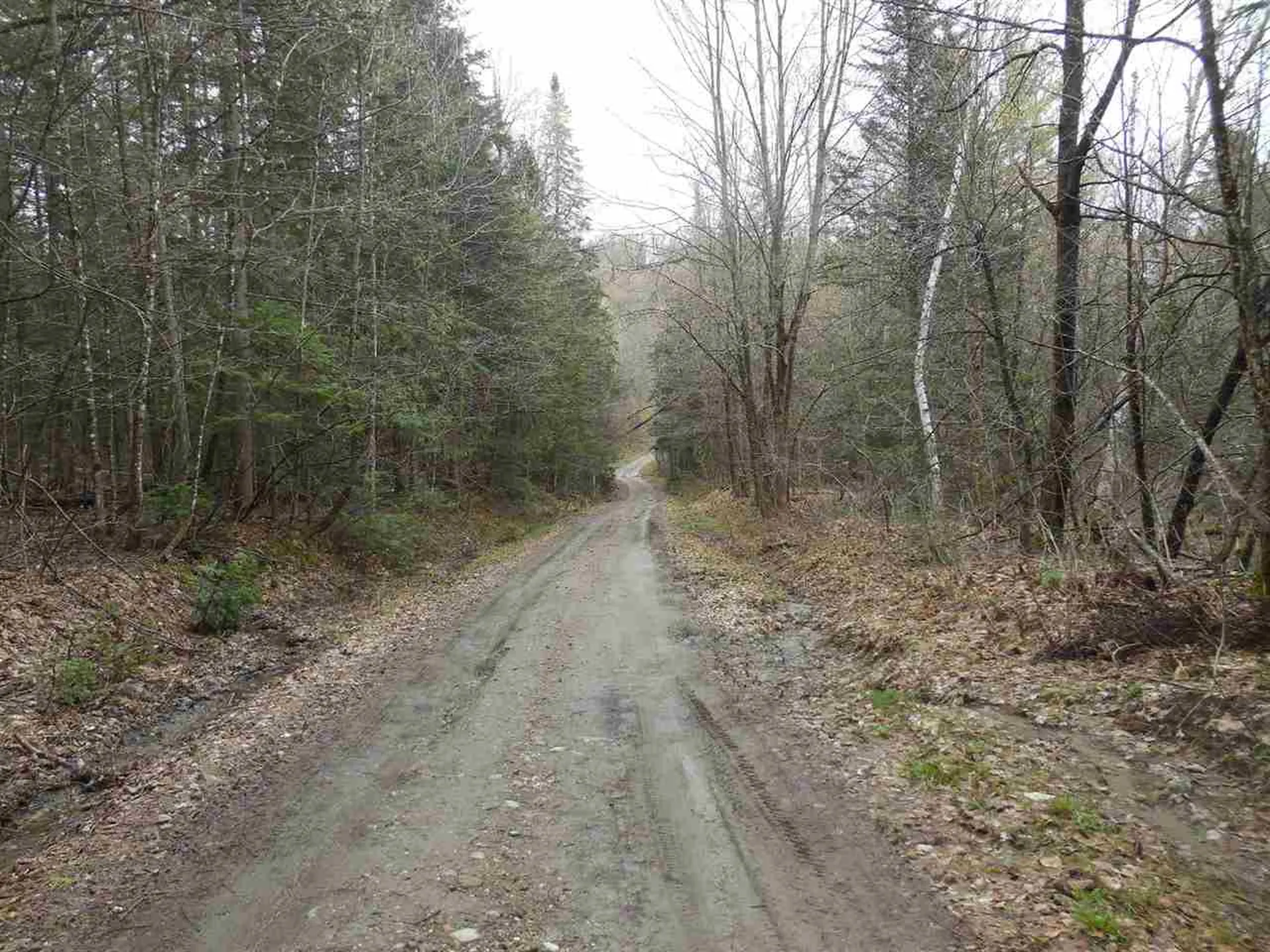00 Fish Pond Road Orange VT 05086