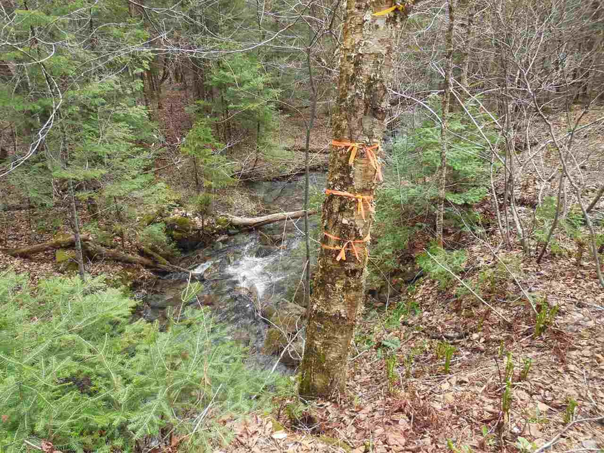 00 Fish Pond Road Orange VT 05086