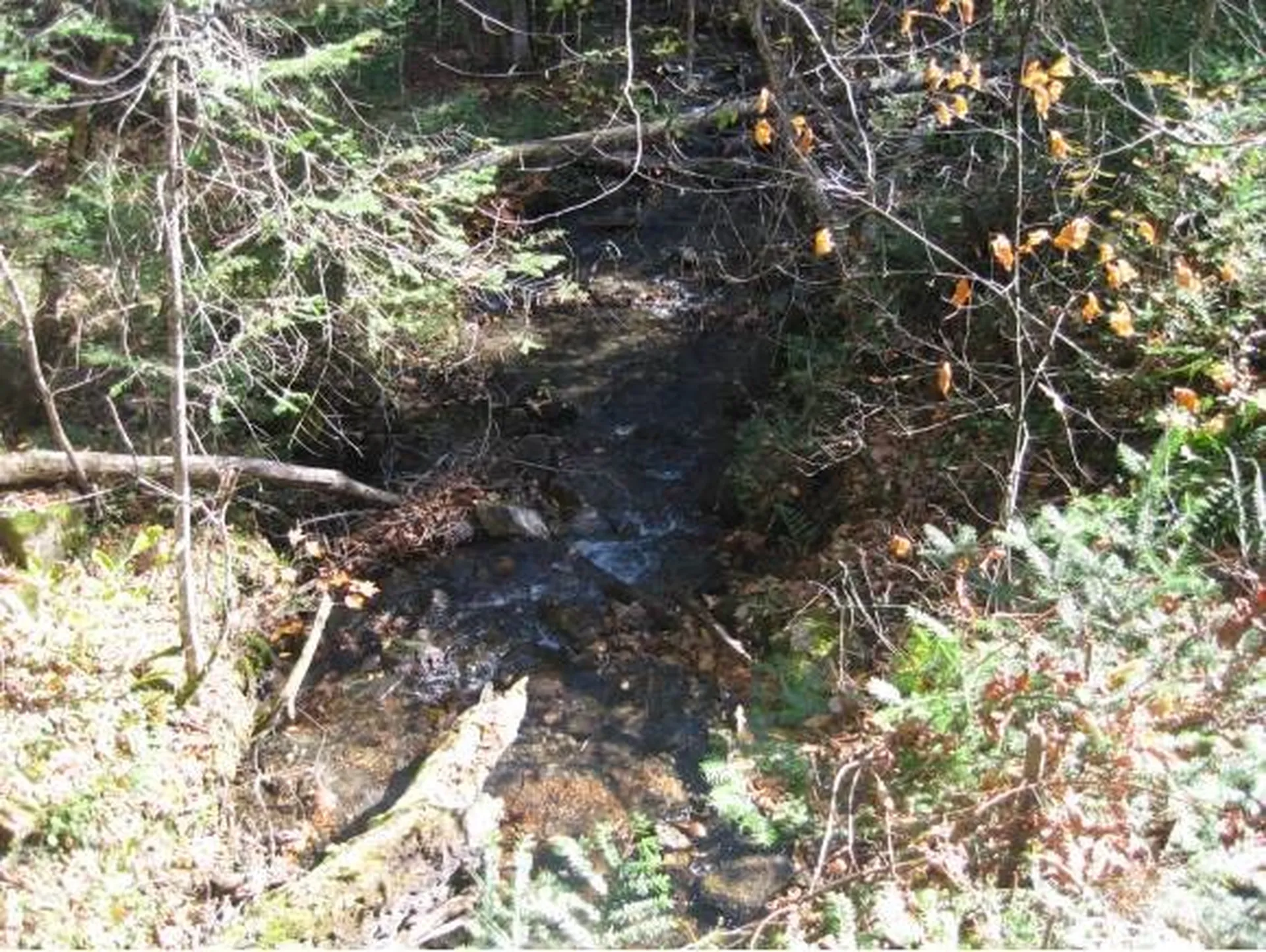 00 Fish Pond Road Orange VT 05086