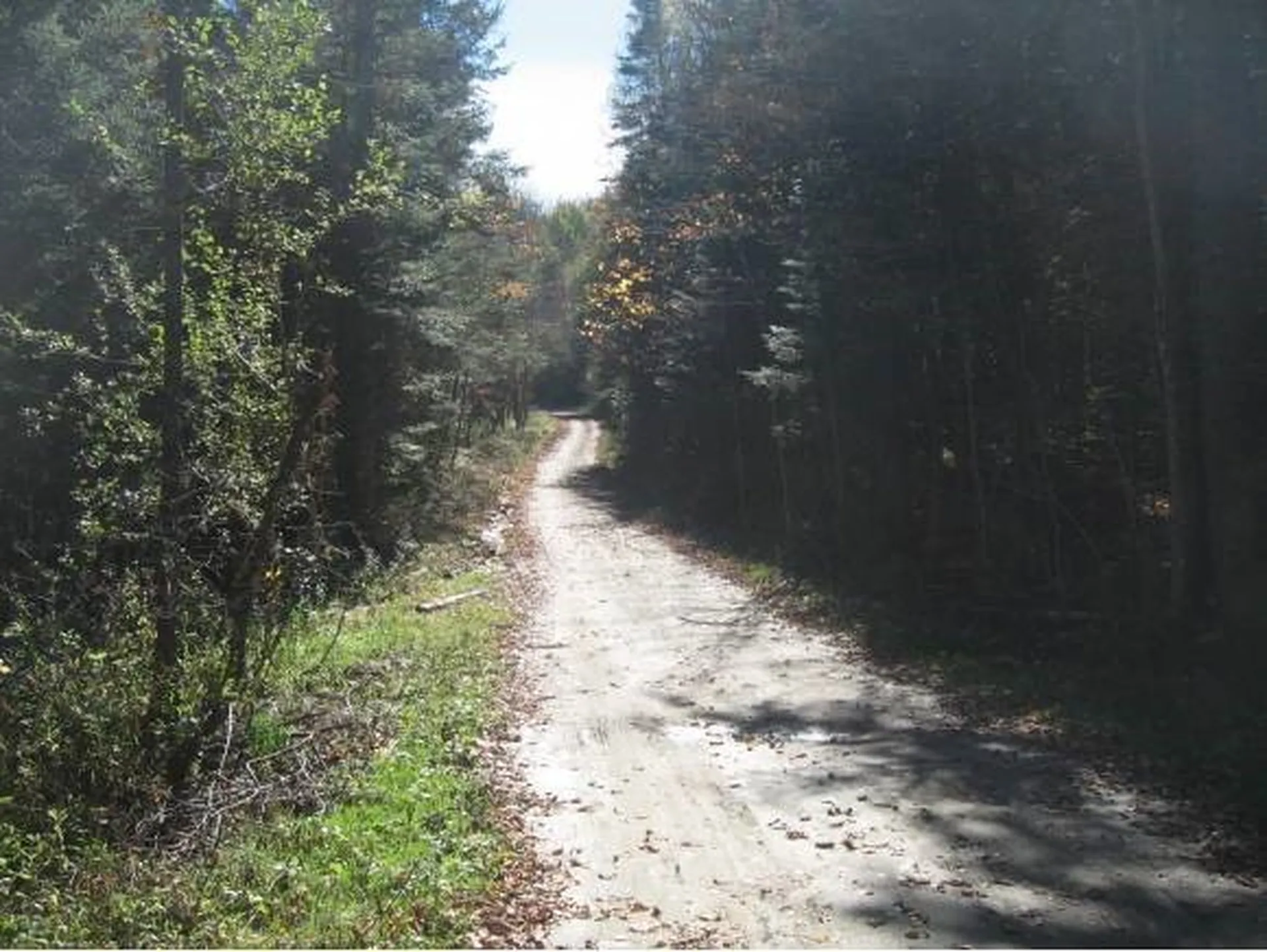 00 Fish Pond Road Orange VT 05086