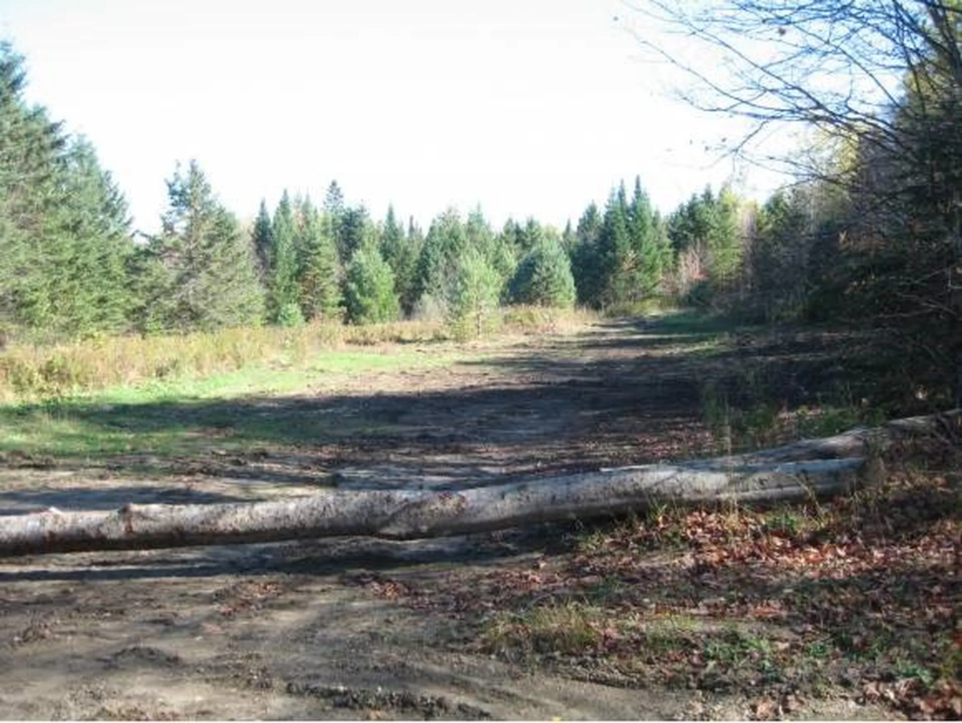 00 Fish Pond Road Orange VT 05086