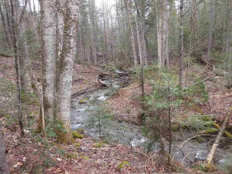 00 Fish Pond Road Orange VT 05086