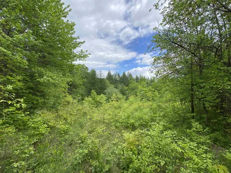 Joe's Brook Road Danville VT 05828