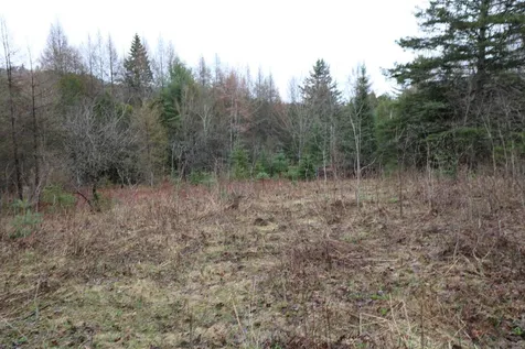 Joe's Brook Road Danville VT 05828