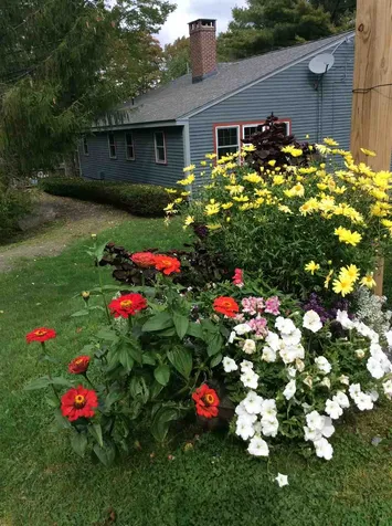 7f Polar Bear North Road Dover VT 05356